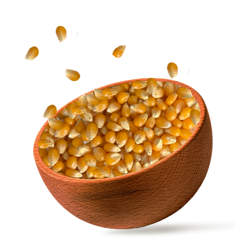 24 dee Junho - pote pimenta site